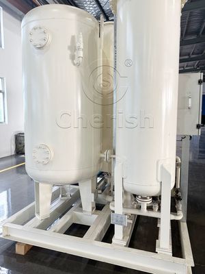 Fornecimento sustentável de geradores de oxigénio Psa de alta pureza para sopro de vidro industrial e produção de luz de néon